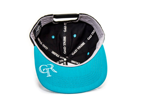 Destined Snapback Hat
