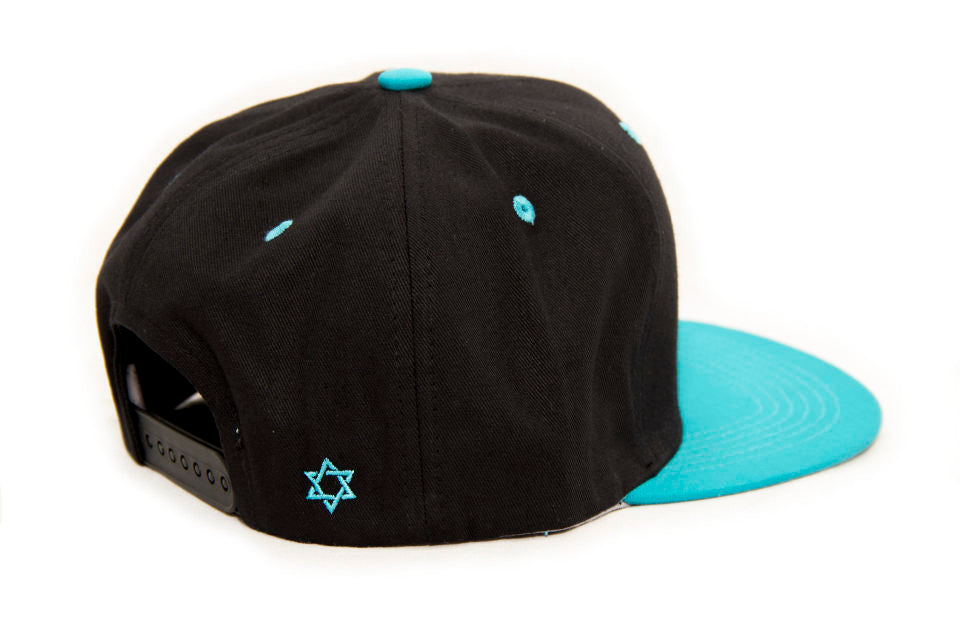 Destined Snapback Hat