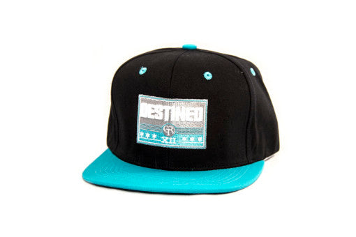 Destined Snapback Hat